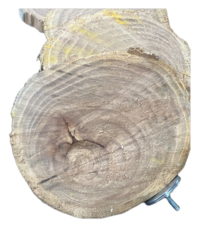 Flat Round Perch, handmade bird toy